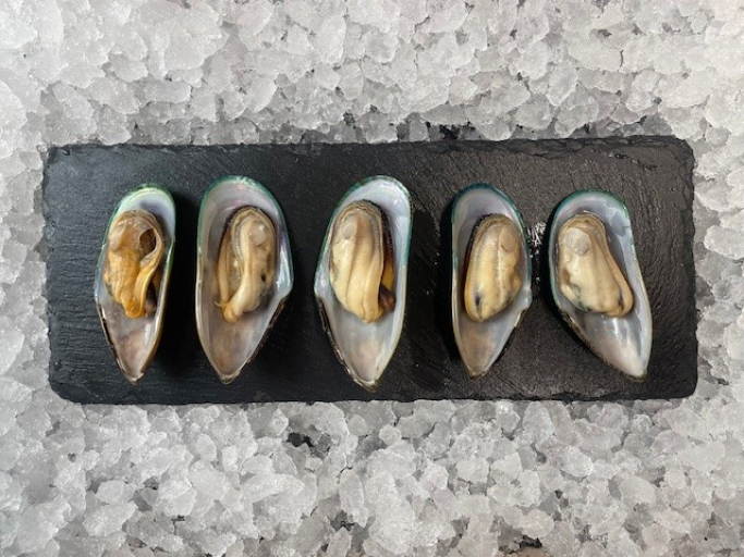 Grünschalmuscheln