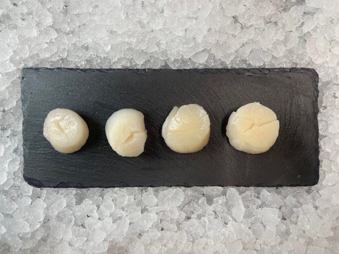 Jakobsmuschelfleisch