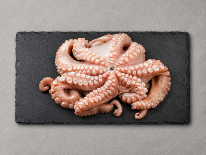 Oktopus ganz