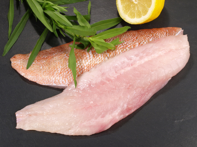Frisches Rotbarschfilet 500g