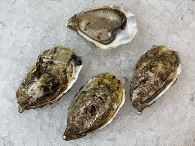 Irische Austern "Christmas Edition" - ab 12 Stück